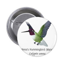 Anna's Hummingbird Male with Name Pinback Button