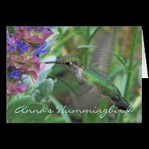 Anna's Hummingbird Notecard cards