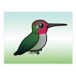 Anna's Hummingbird Postcard