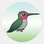 Anna's Hummingbird Round Sticker