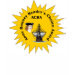 Ladies Baby Doll (Fitted)