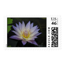 Anne Emmet postage