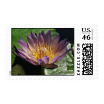 Anne Emmet stamps