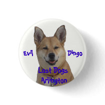 annie1234, Lost Dogs Arlington, Evil ... buttons by cannonpics annie1234, Lost Dogs Arlington, Evil ... buttons