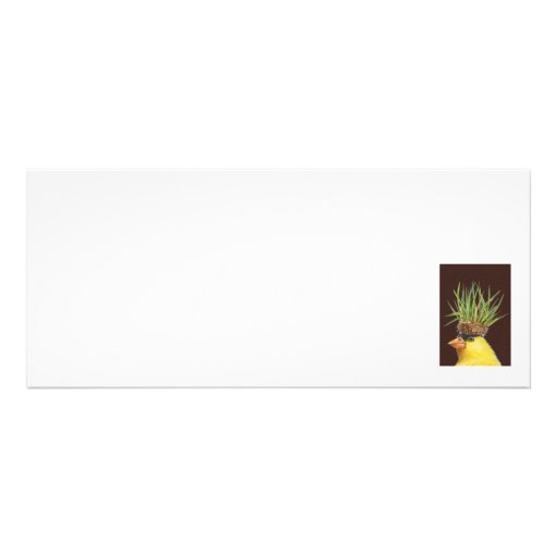 Annie and Pete Host the Finch Festival card/invite
