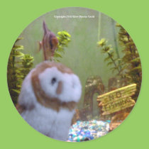 Annie & Angelfish stickers