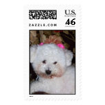 Annie in the Chair postage