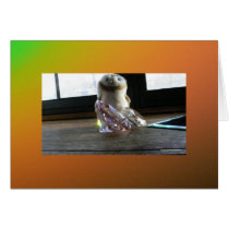 Annie Loves Pretties cards