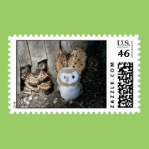 Annie & Mushrooms stamps