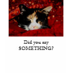 Annie O attitude, Did you say SOMETHING? t-shirts