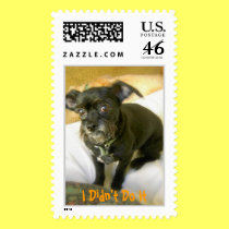 Annie Rooney, I Didn't Do It stamps