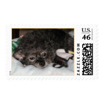 Annie Rooney postage