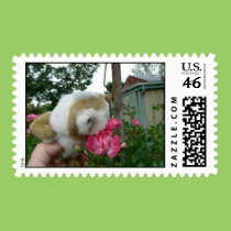 Annie & Roses postage