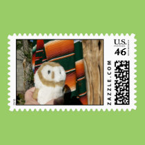 Annie & Serape stamps