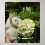 Annie & Snowball posters