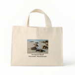 Annisquam Beach Bag