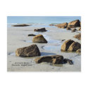 Annisquam Beach Postcard by rosewood_designs Annisquam Beach Postcard