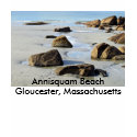 Annisquam Beach T-Shirt by rosewood_designs Annisquam Beach T-Shirt