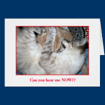 Anniversary Card cards