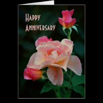 Anniversary Card cards