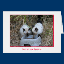 Anniversary Card cards