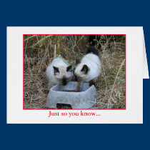 Anniversary Card cards
