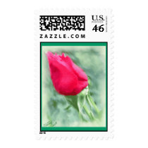 Anniversary Rosebud Postage postage