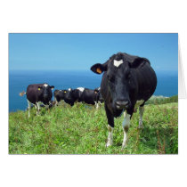 Annoyed cow greeting card