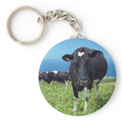 Annoyed cow key chain by gavila_pt