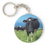 Annoyed cow key chain