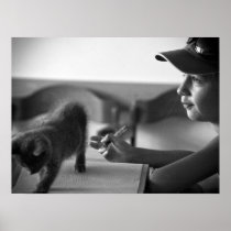 Annoying cat poster