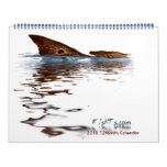 Annual FishTs Calender Release Calendar