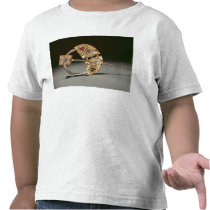 Annular brooch, Ardagh Hoard, Reerasta T-shirt