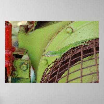 Anole in Kauai Print by trafton