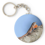 Anole Lizard Keychain keychains