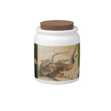 Anole Lizards Candy Jars