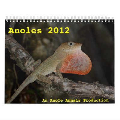 Anoles 2012 calendars Anoles 2012 calendars