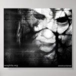 Anonymous Posters