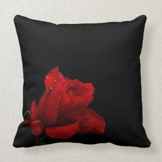 Another Beautiful Red Rose Pillows