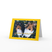 Another Birthday? cards