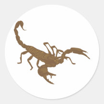 Another Brown Scorpion Stickers