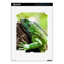 another green day decal for iPad 3