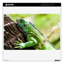 another green day MacBook skins