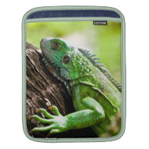 another green day sleeve for iPads