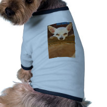 another horney italian dog tee