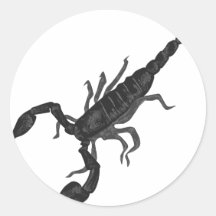 Another Imperial Black Scorpion Sticker