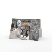 Another monday cougar cards