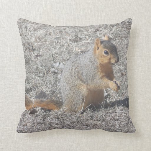 squirrel pillow