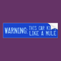 Another Stick Shift Bumper Sticker bumper stickers