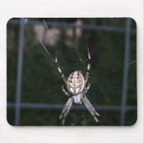 another-texas-spider!!!!! mousepads